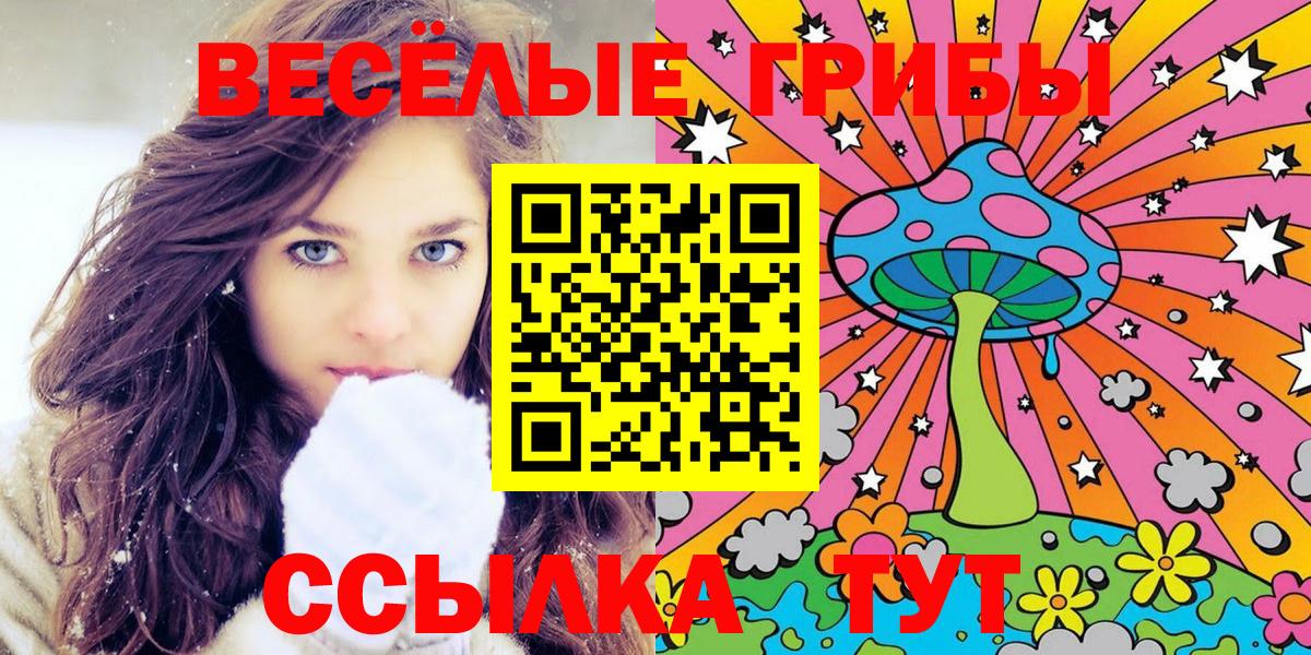 Галлюциногенные грибы GOLDEN TEACHER  Вход с VPN  Новочебоксарск 